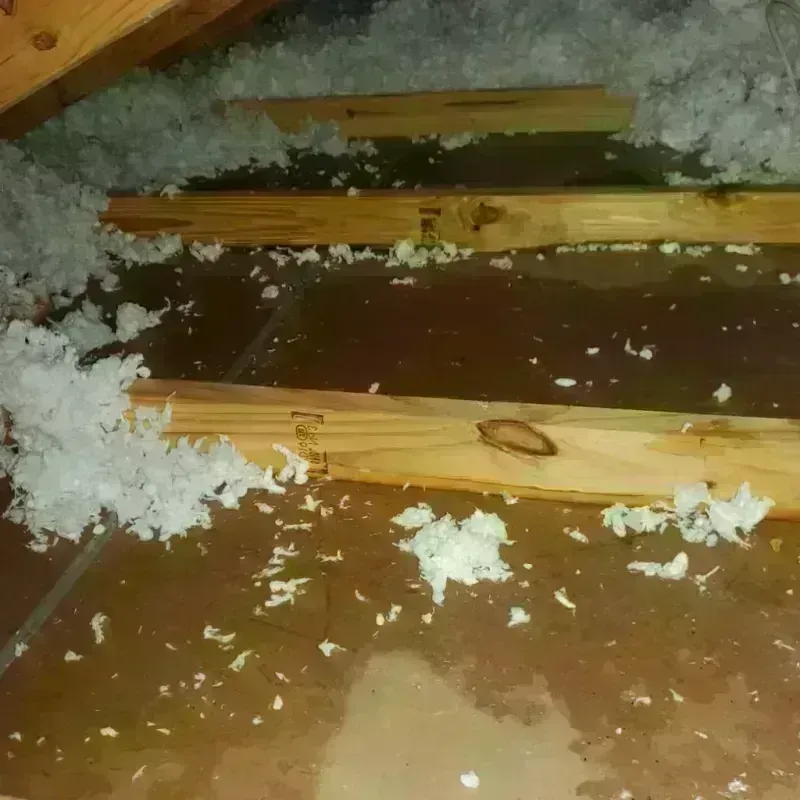 Attic Water Damage in Colon, MI