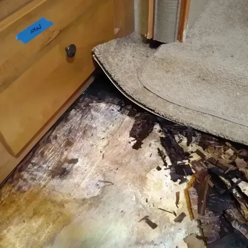 Best Wood Floor Water Damage Service in Colon, MI